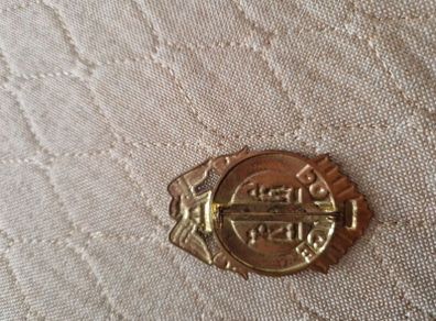 rare vintage  us police badge