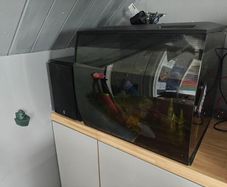 Fish tank