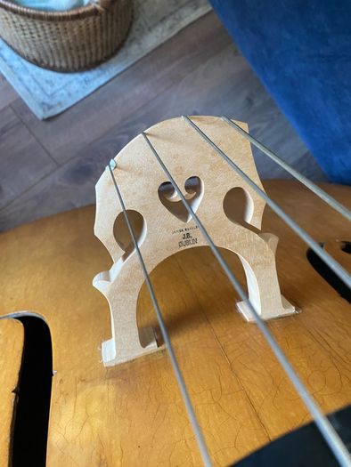 Double Bass
