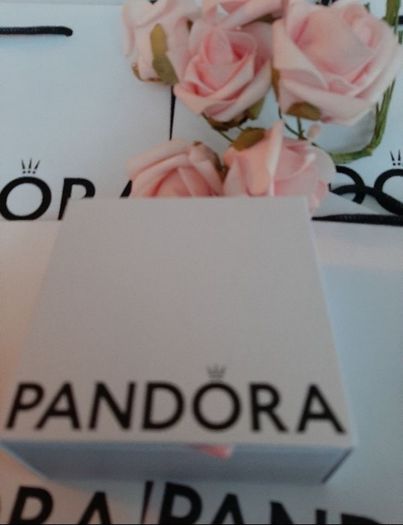 New genuine pandora bangle