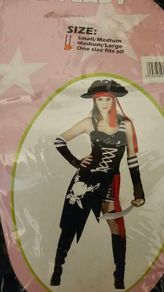 Halloween Costume - Pirate