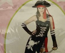 Halloween Costume - Pirate