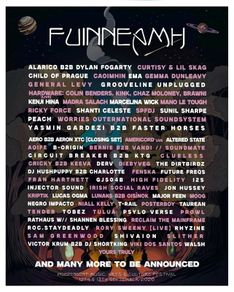 Fuinneamh ticket