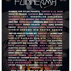 Fuinneamh ticket
