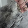 Mid real fur silver coat Image 10