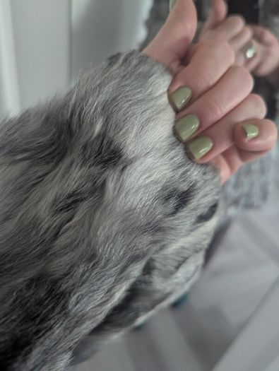 Mid real fur silver coat