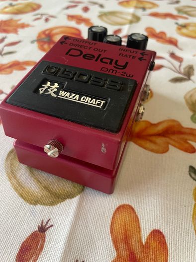 Boss DM-2w Waza Craft Analog Delay