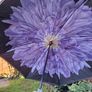 Reversal umbrella Image 4
