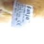 Vintage Russ Banjo Sitting Puppy Plush Toy Image 8