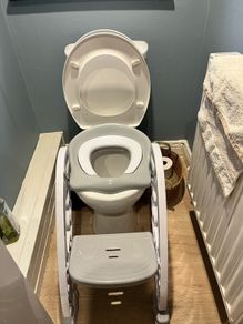 Toilet training Seat