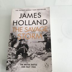 Books. "The Savage Storm" by James Holland. The Brutal Battle For Italy 1943
