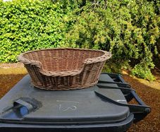 cat basket