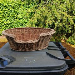 cat basket
