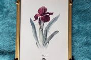 gold-toned metal 5x7 picture frame with decorative floral embellishments.