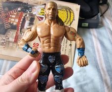 WWE Shawn Michaels Classic Series Figure