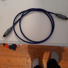 optical lead