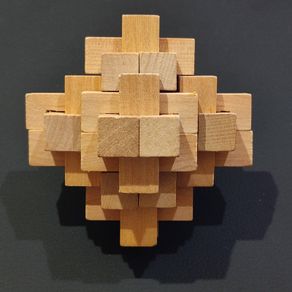Wooden Puzzle Brain Teaser Jigsaw
