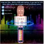 Karaoke Wireless Microphone Image 5