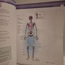 Reflexology for the VTCT Diploma  Paperback Image 10