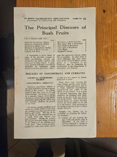 Vintage Department Of Agricultural Pamplets,and Leaflets X 13. In Good Condition.  See Photos For Same.
