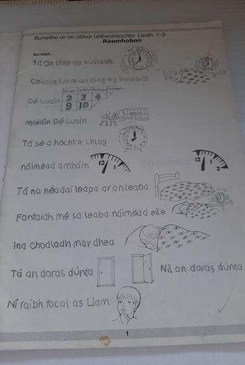 Fallons vintage Gaeilge books
