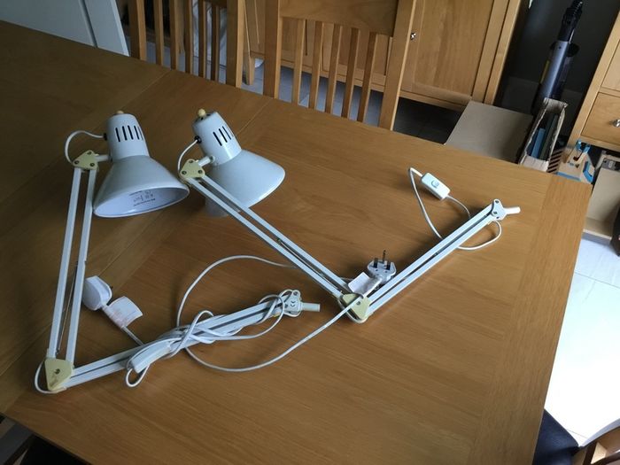 Posable Lamps x 2