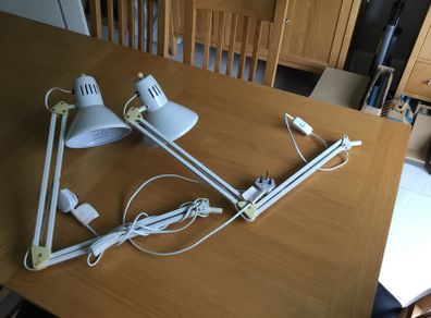 Posable Lamps x 2