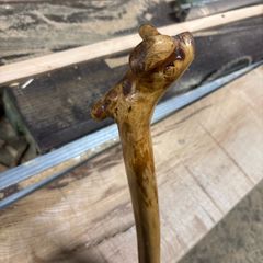 Irish walking stick