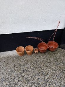 plant pots