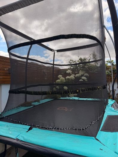 Trampoline