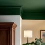 Lick Paints Green 20 Image 5