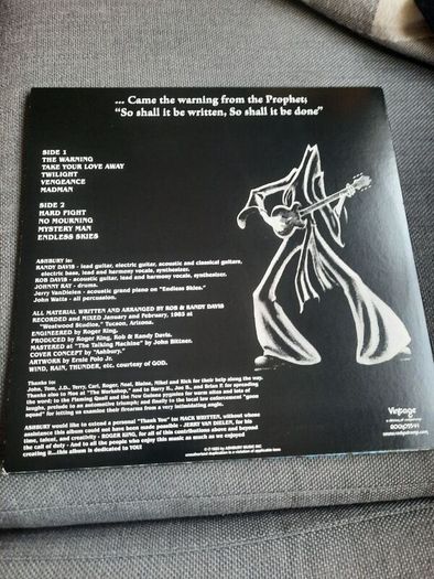 ASHBURY : Endless Skies LP - US 2014 repress