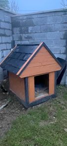 dog box