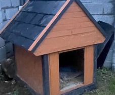 dog box