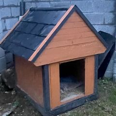 dog box
