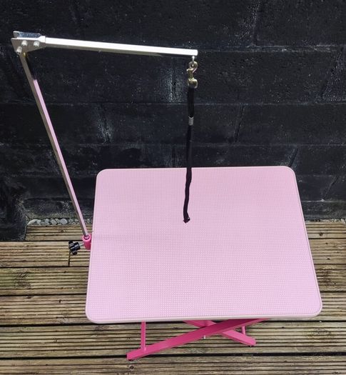 Dog grooming table