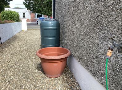 Large Plastic Plant Pot