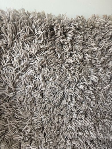 Large rug