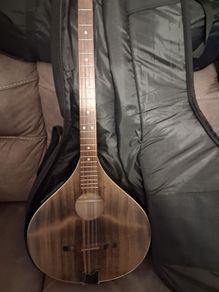 Irish concert bouzouki