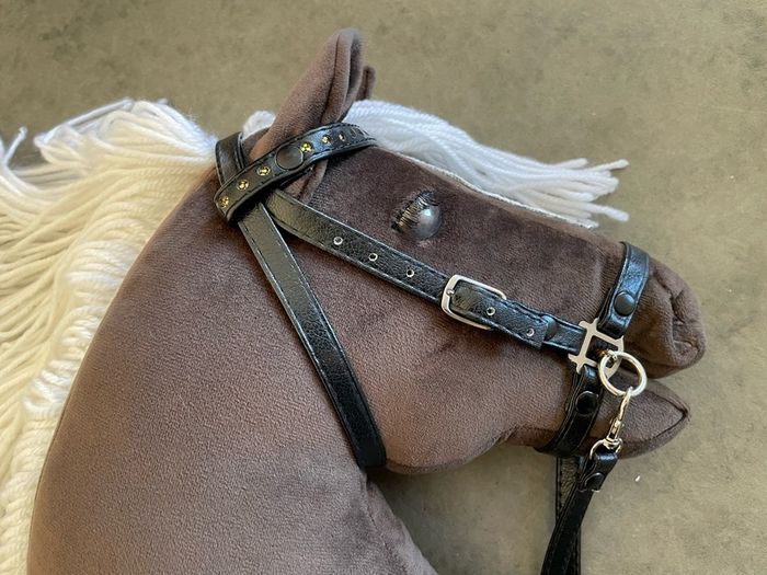 Hobby horses