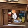 Original Retro 1950s sideboard with 2 drawers & sliding doors. Image 5