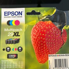 Epson ink cartridges