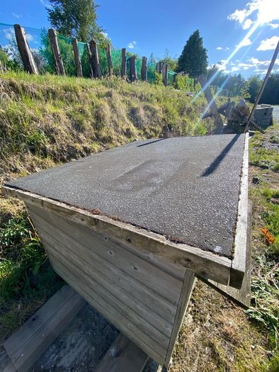 Dog House