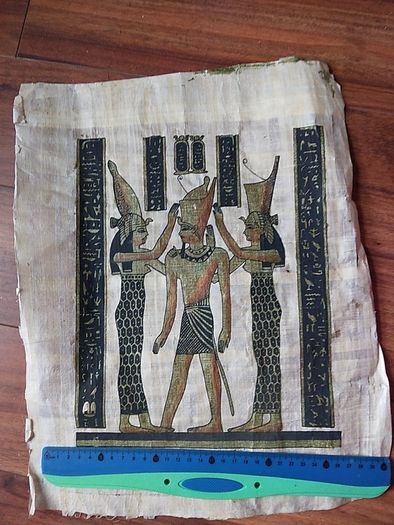 Papyrus from Egypt.