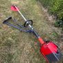 hedge strimmer Image 2