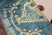 Ireland world cupFlags 4x6 foot Erin Go Braith Flag for WorldCup