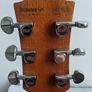 Acoustic guitar: Richwood Master Series D60 Image 4