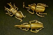 3 brass beetles.