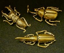 3 brass beetles.