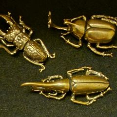 3 brass beetles.